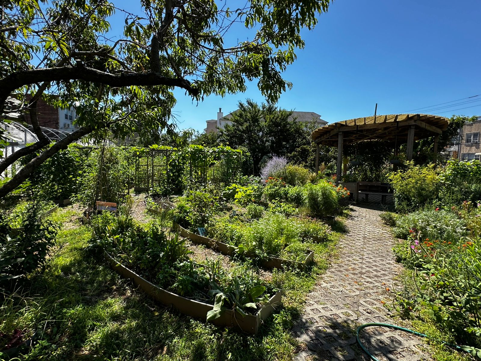 PS 216 Garden
